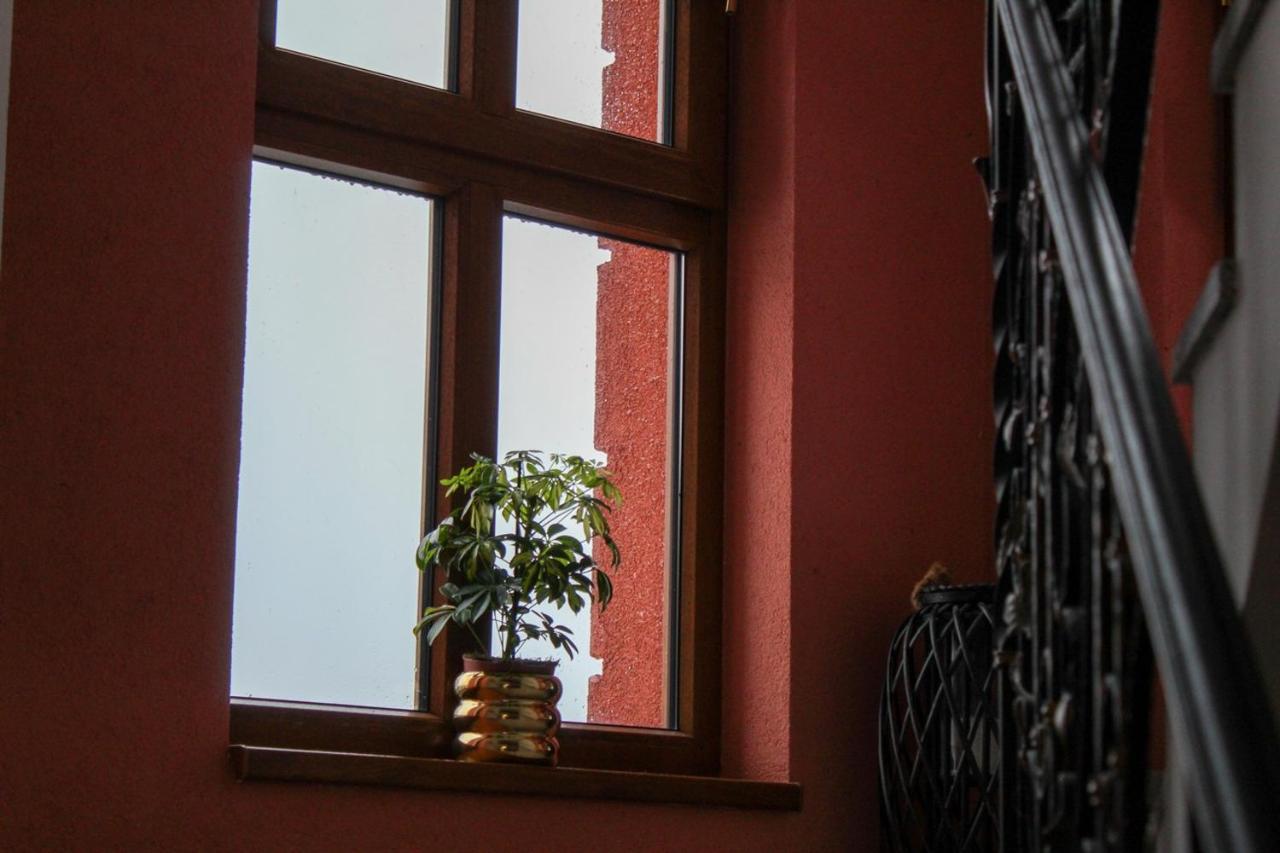 Dobranic - Kuca Za Odmor Sveti Martin Na Muri Exterior foto